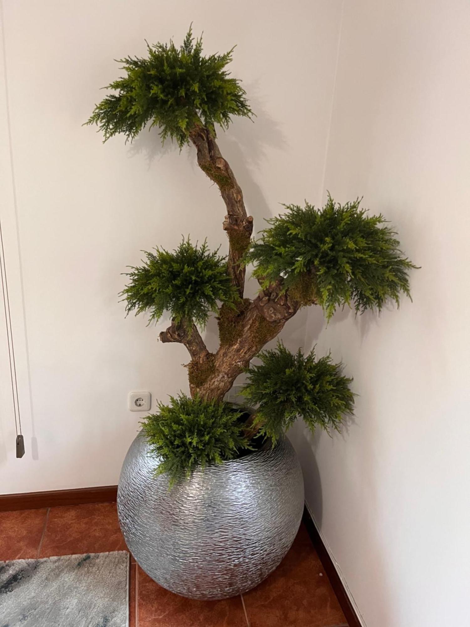 Am Residence 布拉加 外观 照片